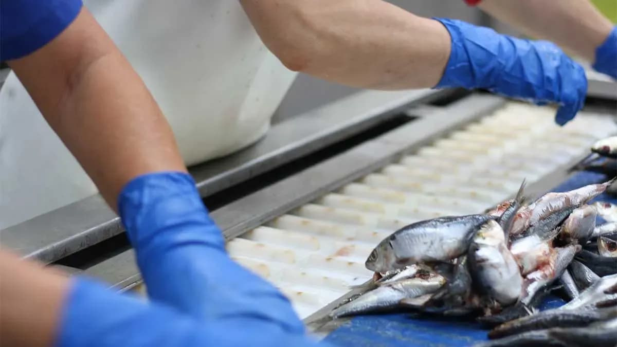 Feicopesca denuncia ante el SIMA a los sindicatos por bloqueo en la negociación del convenio de conservas de pescado
