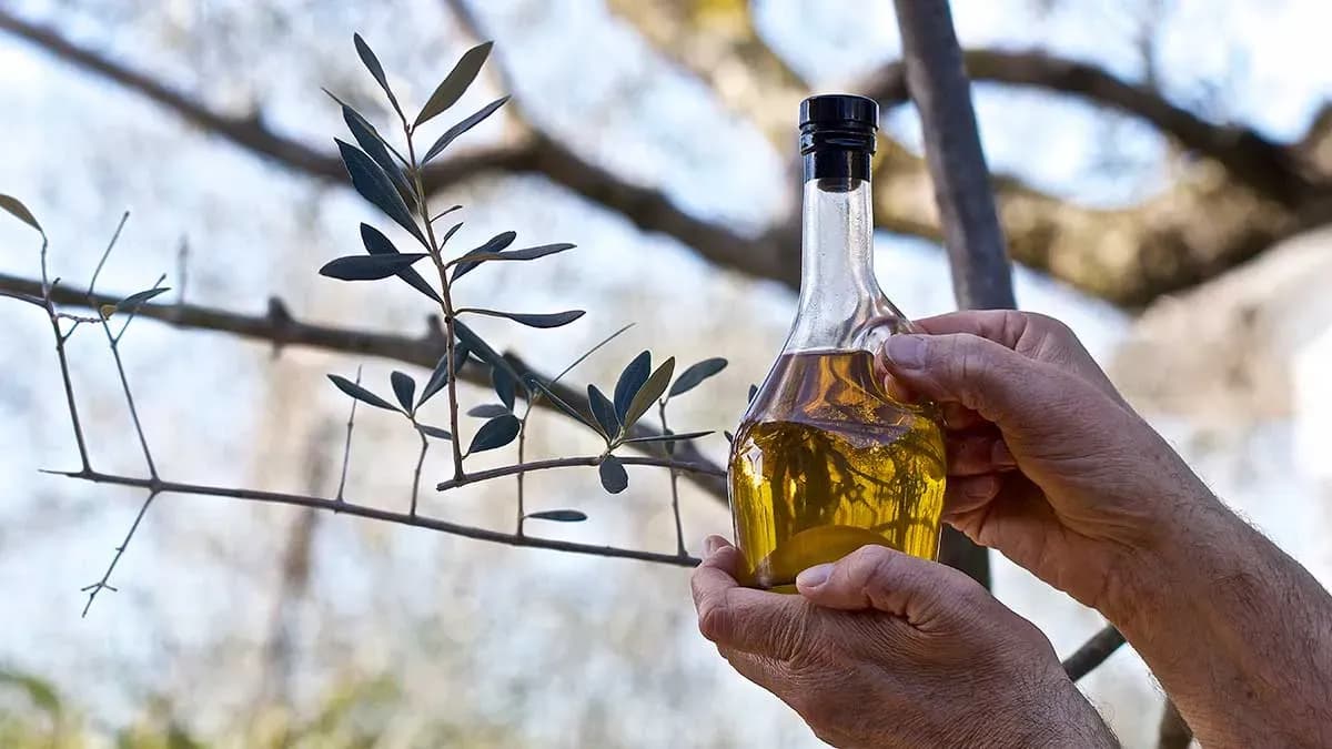 Andalucía registra un superávit de 2.986 millones en el comercio interior durante el tercer trimestre de 2025