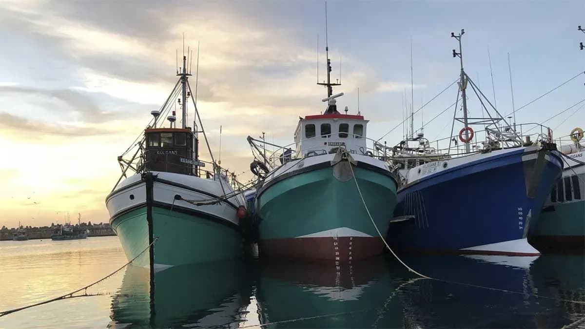 La Junta de Andalucía destina 500.000 euros a ayudas para el fomento de la pesca sostenible