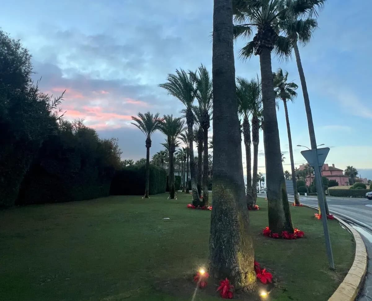 Puerto Sotogrande se convierte en el epicentro de la Navidad con más de 30 actividades