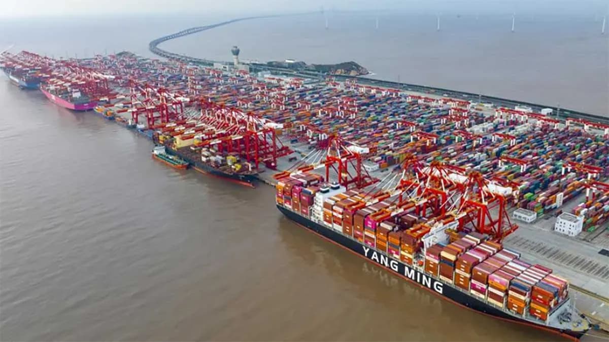 El Puerto de Shanghái supera los 50 millones de TEUs por segundo año consecutivo