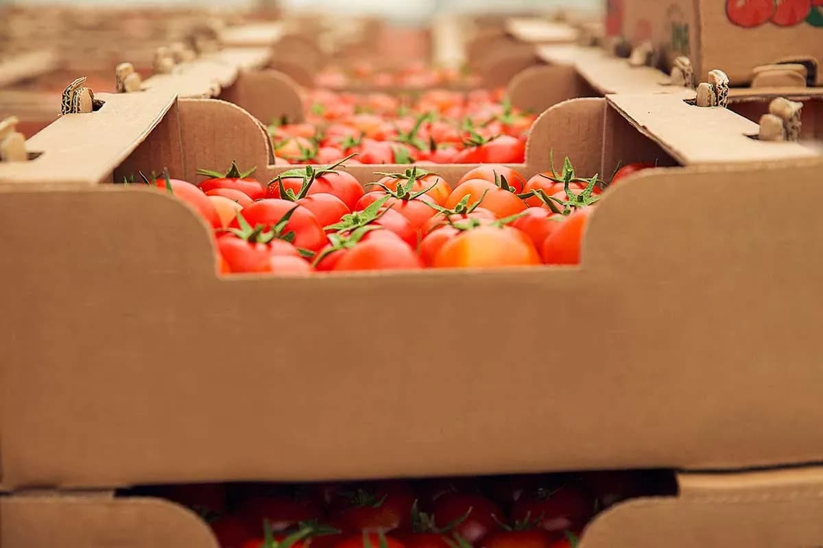 La Comisión Europea defiende el balance global del acuerdo agrícola entre la UE y Marruecos