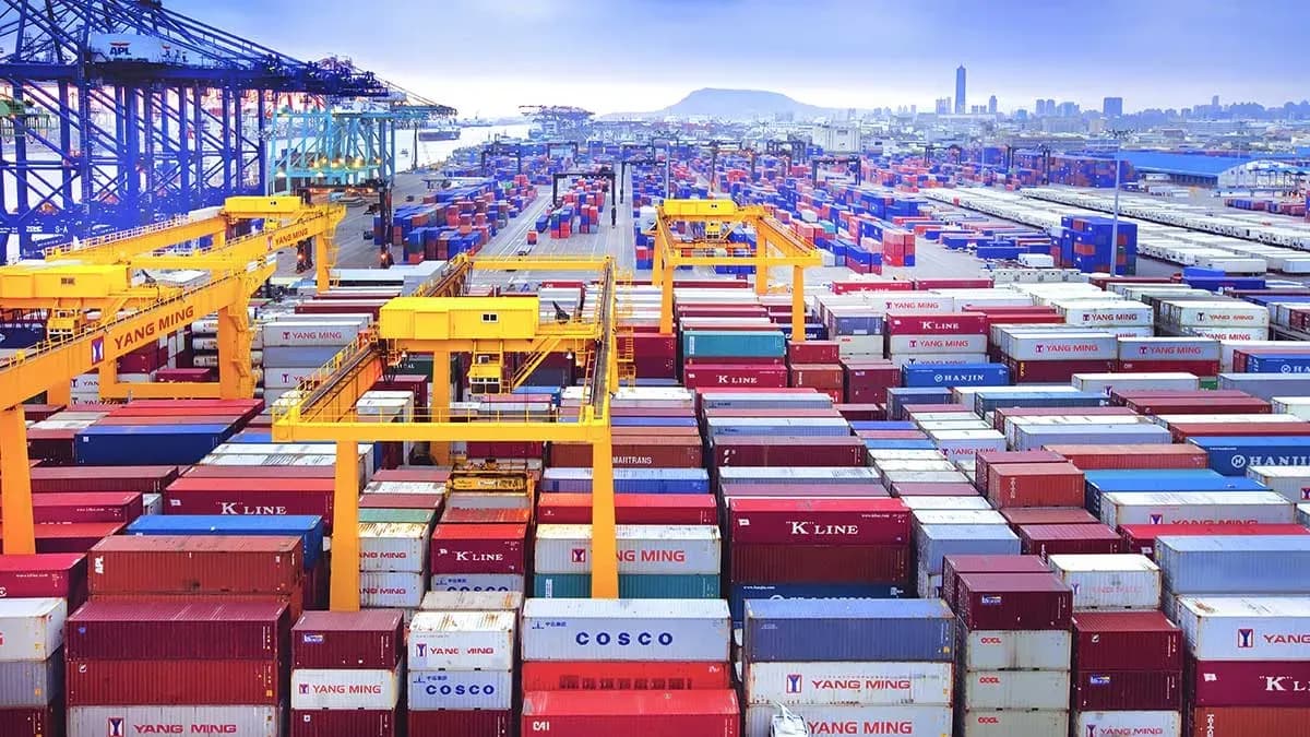 Transbull facilita la entrada del porcino español en Taiwán mediante servicios marítimos especializados