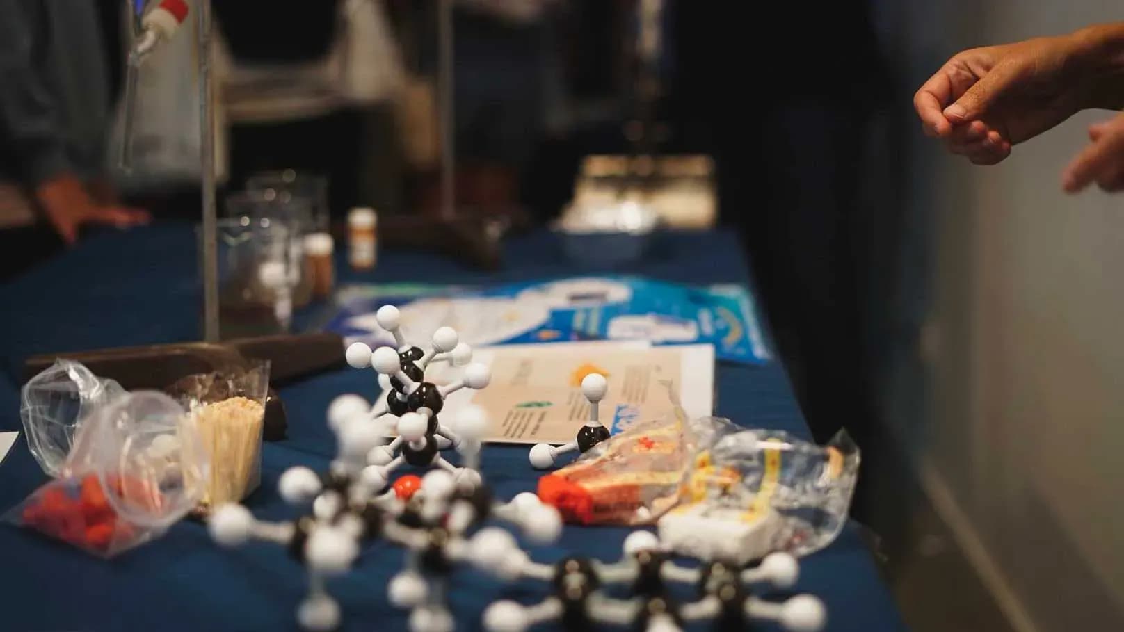 El IEO-CSIC participa en la Noche Europea de los Investigadores con actividades en ocho ciudades españolas