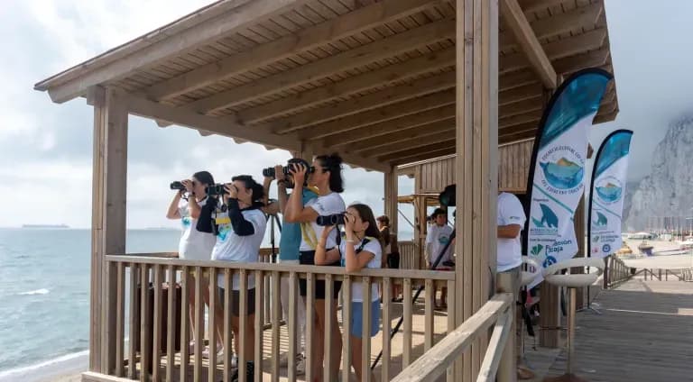 La playa de Santa Bárbara de La Línea acogerá una jornada gratuita de avistamiento de cetáceos para menores el 29 de agosto