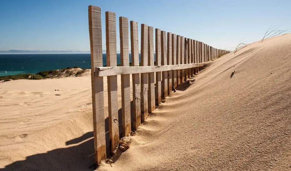 La Junta de Andalucía activa medidas de sensibilización ciudadana para proteger dunas y playas en verano
