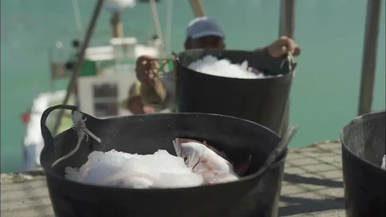 La flota artesanal de Conil pierde cuota de pesca mientras sigue sin acceso al atún rojo