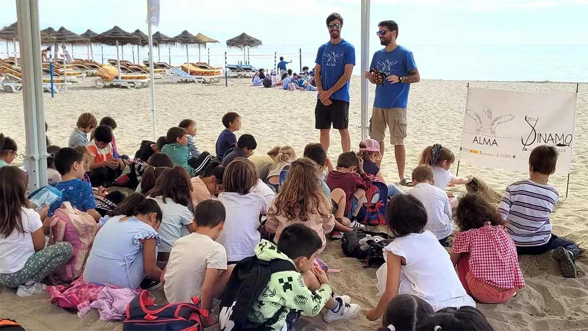 El proyecto ALMA organiza talleres escolares sobre la conservación de la tortuga boba en Fuengirola