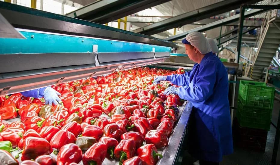Andalucía se consolida como segunda comunidad exportadora de España con cifras récord en el primer cuatrimestre de 2025