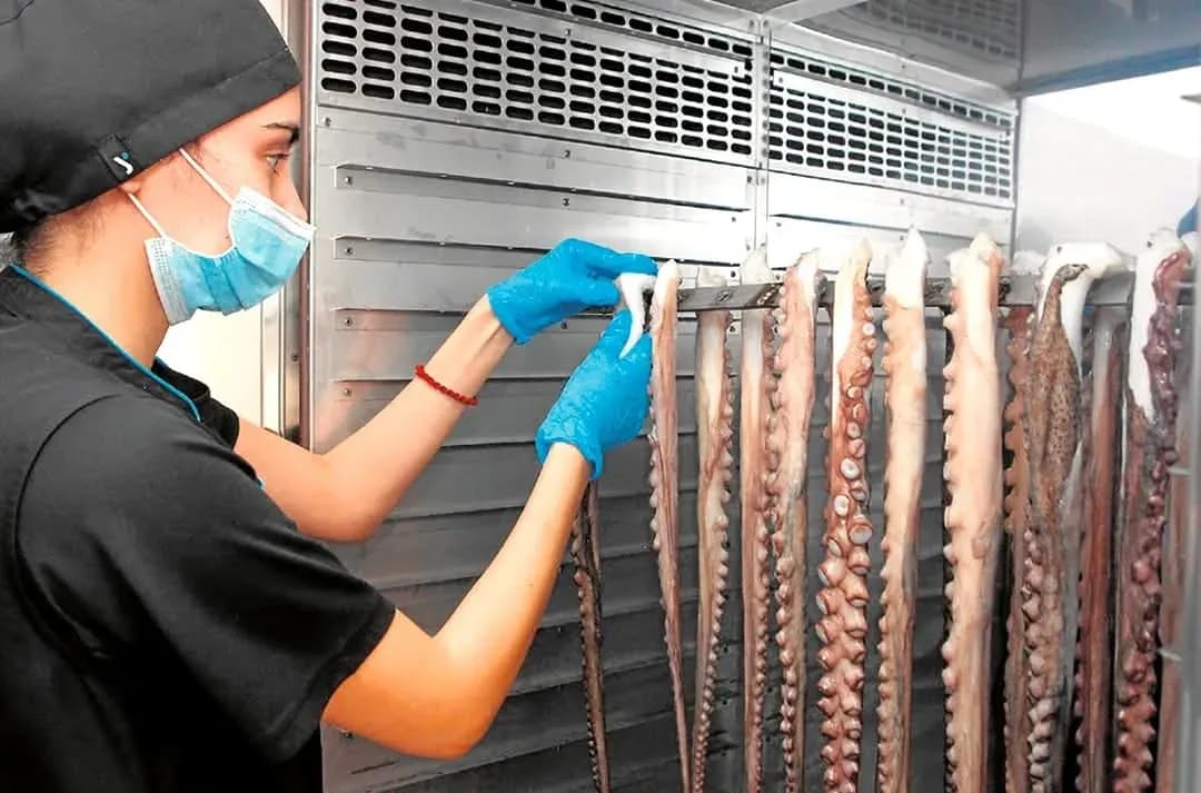 Bruselas reconoce la ETG ‘Pulpo Seco de Adra’ como especialidad tradicional garantizada