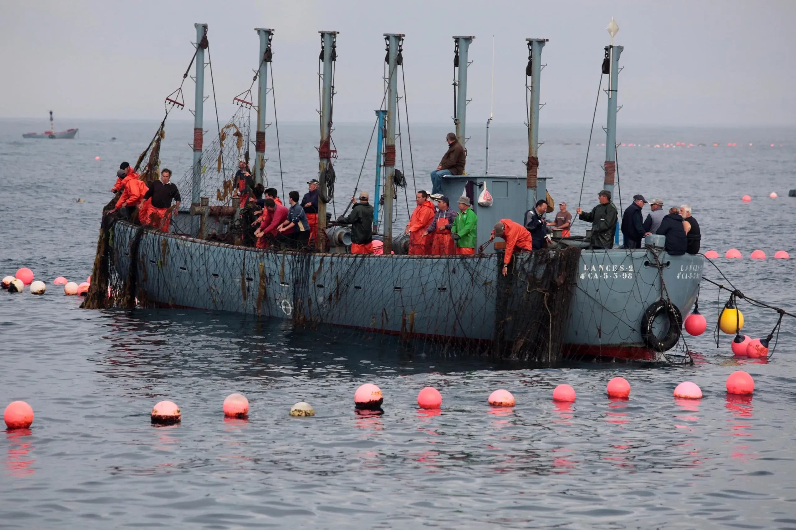 El sector almadrabero alerta del riesgo para la temporada por la huelga de inspectores de pesca