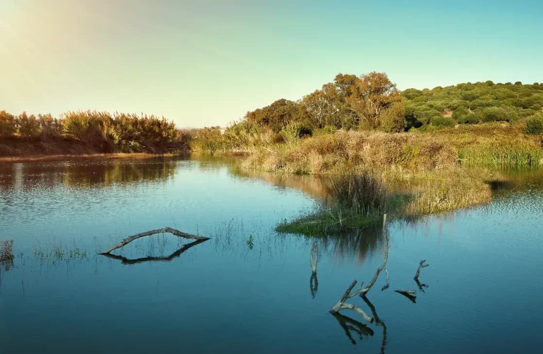 La Estación Ambiental Madrevieja, ejemplo de sostenibilidad