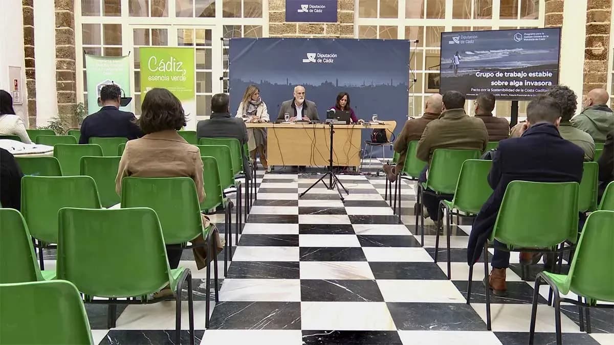 La Diputación de Cádiz eleva hasta los 605.460 euros las ayudas a los municipios afectados por el alga invasora