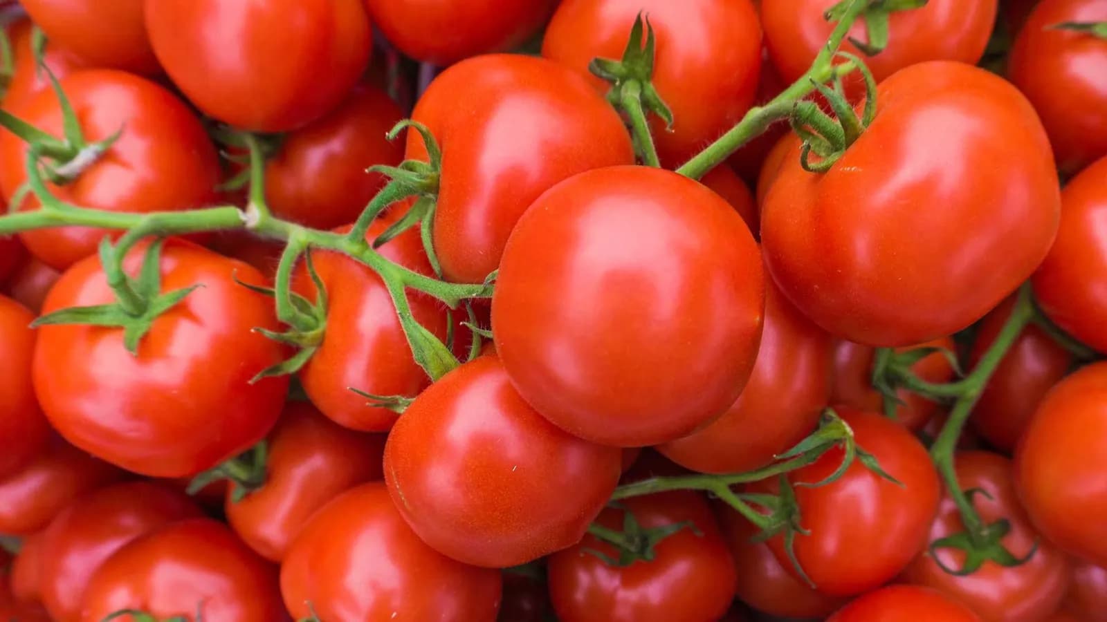 Las importaciones hortofrutícolas se incrementan un 7% en enero