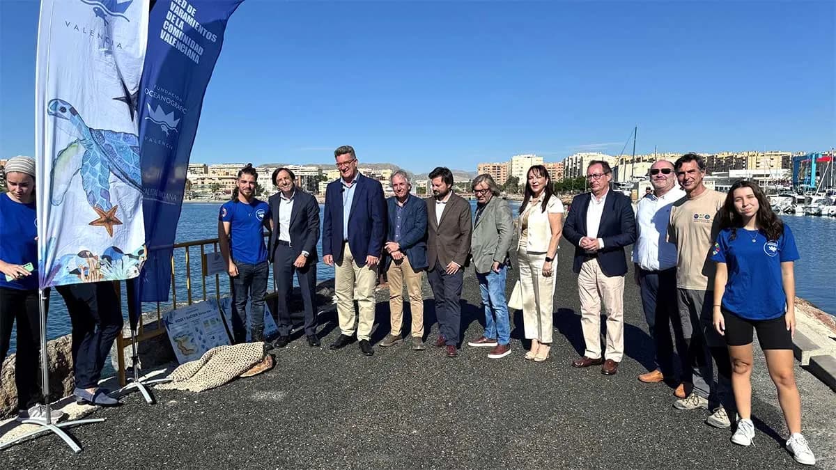 El Puerto de Alicante acoge la liberación de una tortuga boba y una gaviota reidora