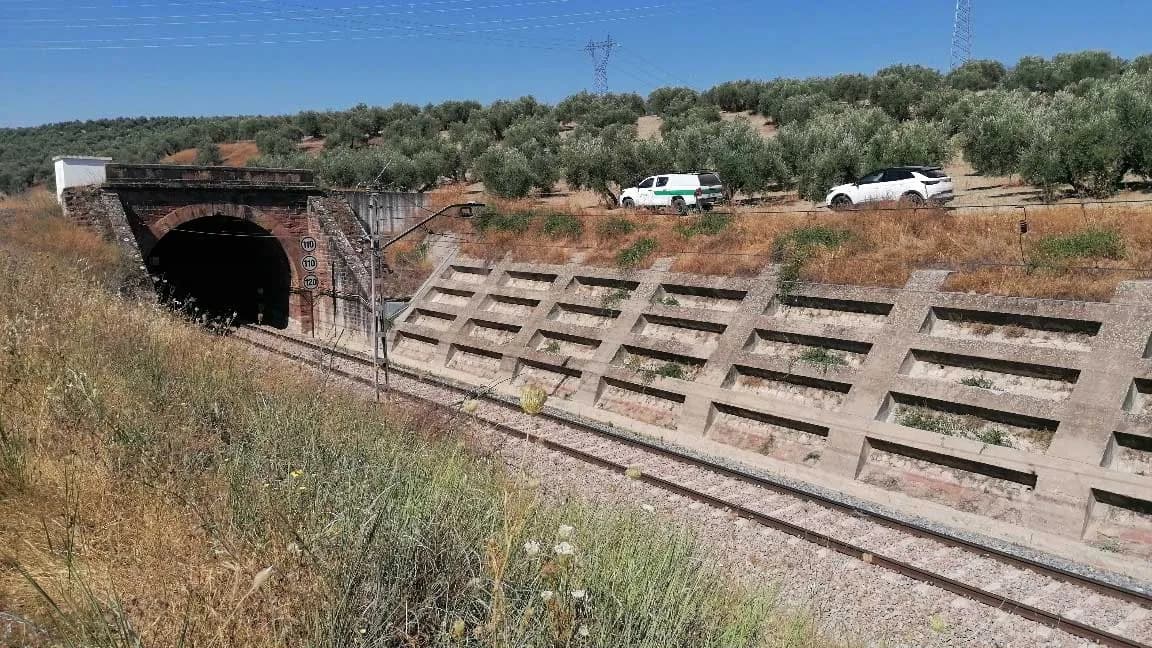 El Gobierno autorizará una inversión de 64,5 millones para modernizar la línea ferroviaria Algeciras-Zaragoza