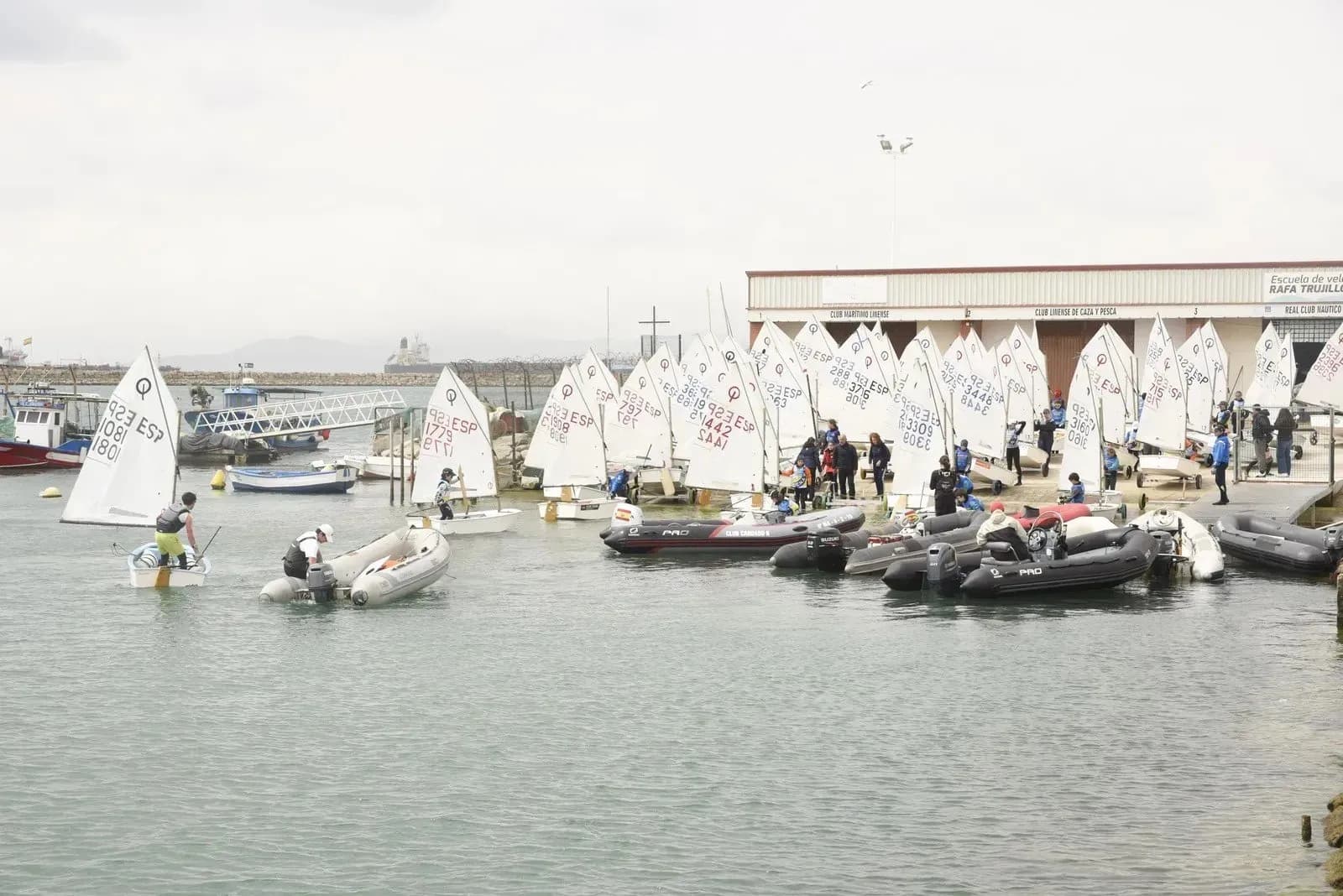 El Real Club Náutico de La Línea acogió con éxito la regata provincial de Optimist
