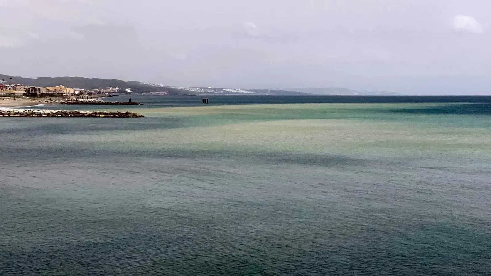 Verdemar denuncia que los vertidos de las obras del proyecto Eastside de Gibraltar alcanzan los caladeros de La Atunara en La Línea