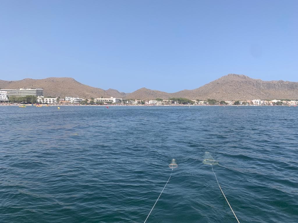 El IEO-CSIC impulsa desde Baleares los proyectos MIRAMAR y MedPROACT para mitigar el impacto ambiental en el Mediterráneo