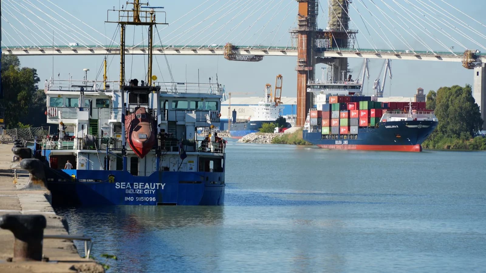 El Puerto de Sevilla incrementa su tráfico de mercancías un 12,8% hasta septiembre de 2024