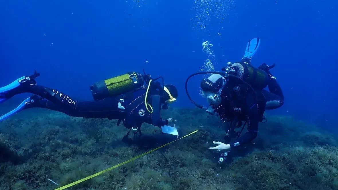 Ciencia ciudadana para salvar los bosques marinos: el CSIC impulsa un proyecto para frenar su regresión