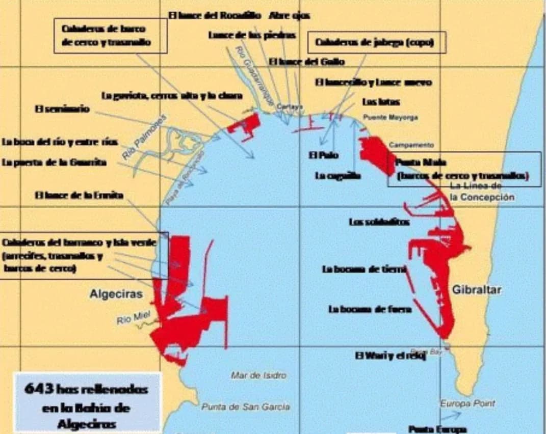 Ecologistas denuncian que el PDI del puerto de Algeciras acabará con las playa del Rinconcillo y el Parque Natural del Estrecho