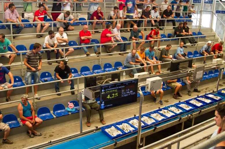 Aumenta el 6,7% la producción pesquera comercializada en Andalucía