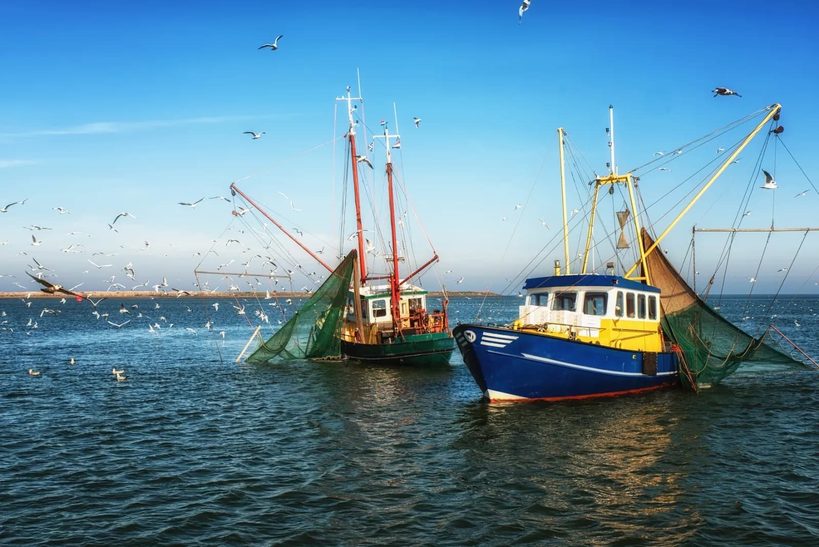 Cepesca alerta sobre la crítica situación de las flotas del golfo de Cádiz tras la sentencia del TJUE