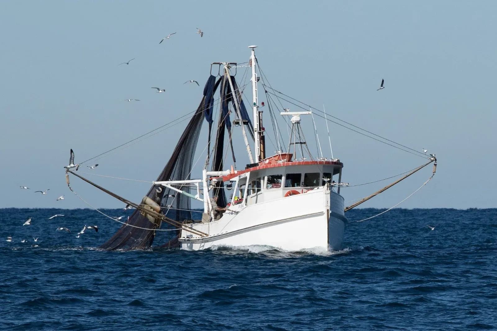 Modelización operativa de emisiones en la pesca mediterránea: una nueva herramienta para entender y reducir la huella climática de la flota andaluza