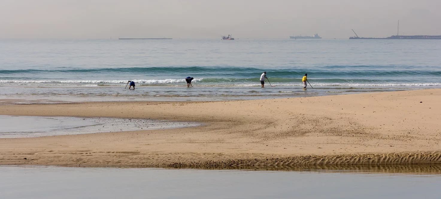 La Junta de Andalucía destina 322.828 euros en ayudas a mariscadores de coquina en el Golfo de Cádiz
