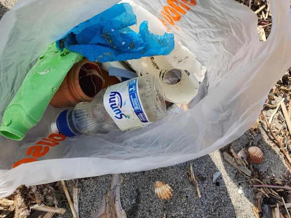 Verdemar vuelve a denunciar la proliferación de desechos en la dársena del Saladillo