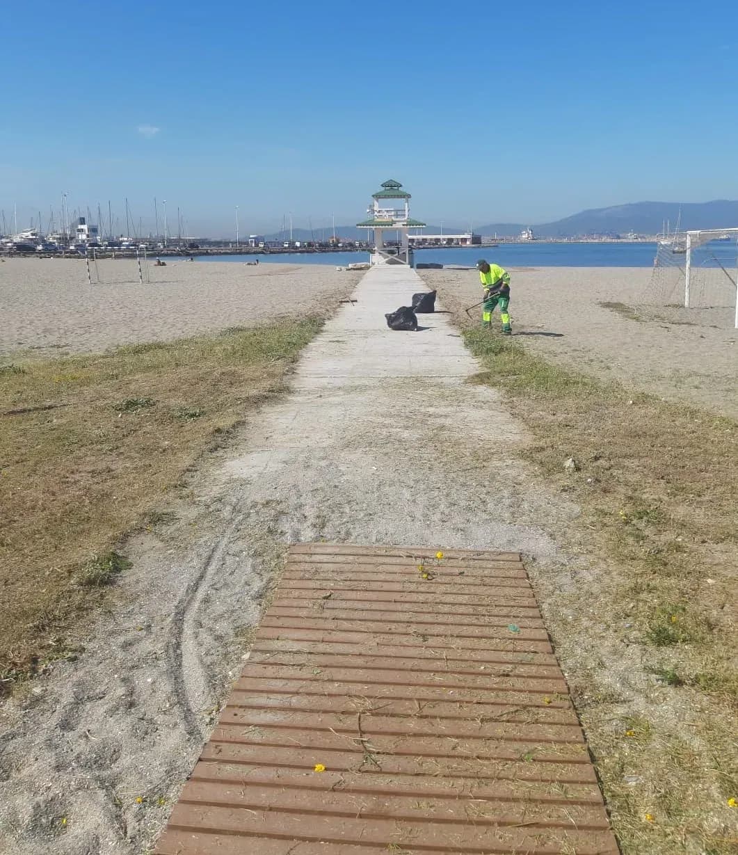 La delegación municipal de playas de La Línea refuerza sus operativos de limpieza para combatir la presencia de algas invasoras