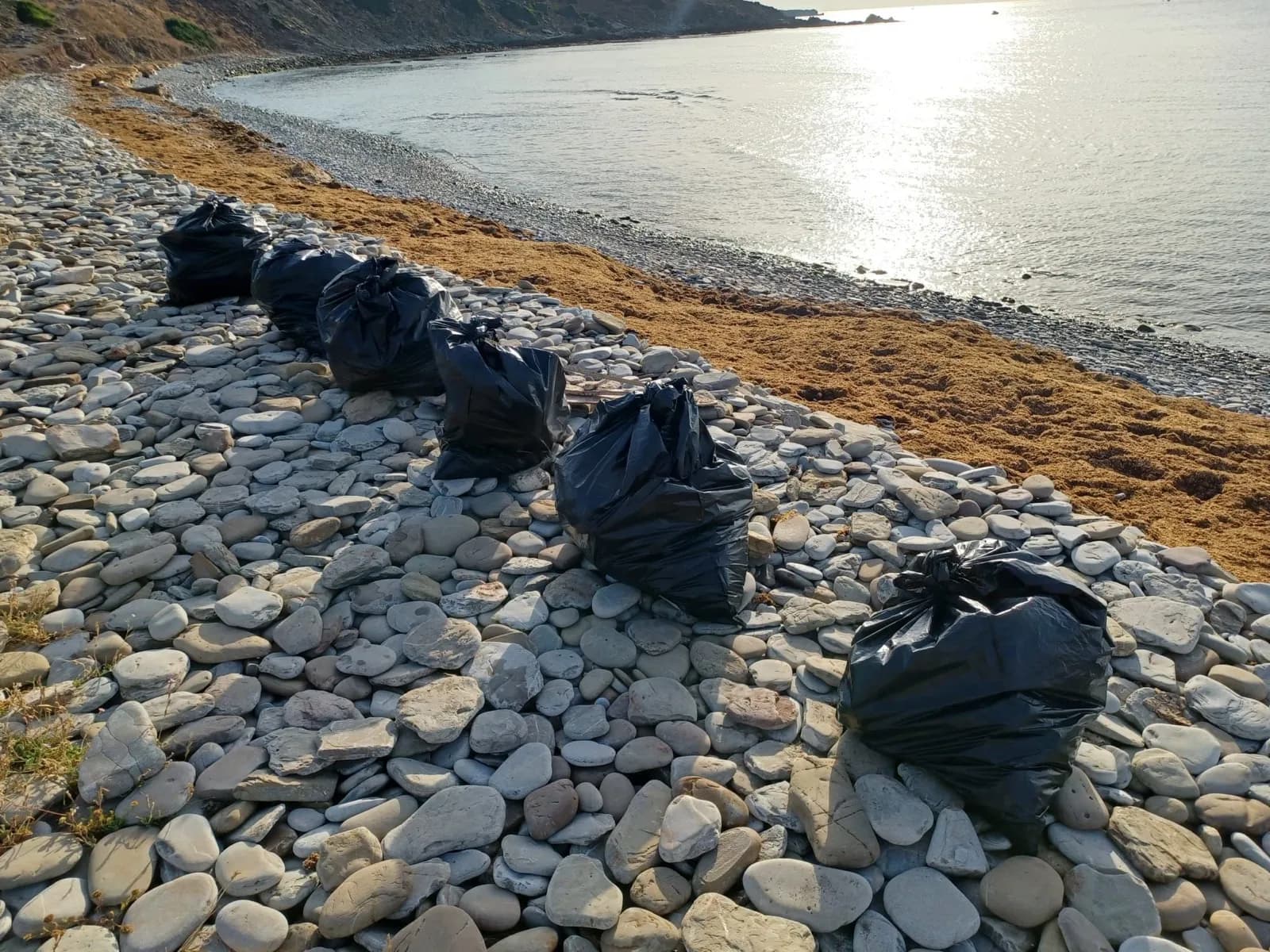 El Ayuntamiento de Algeciras coordina con el Parque Natural del Estrecho la limpieza de la playa de Cala Arena