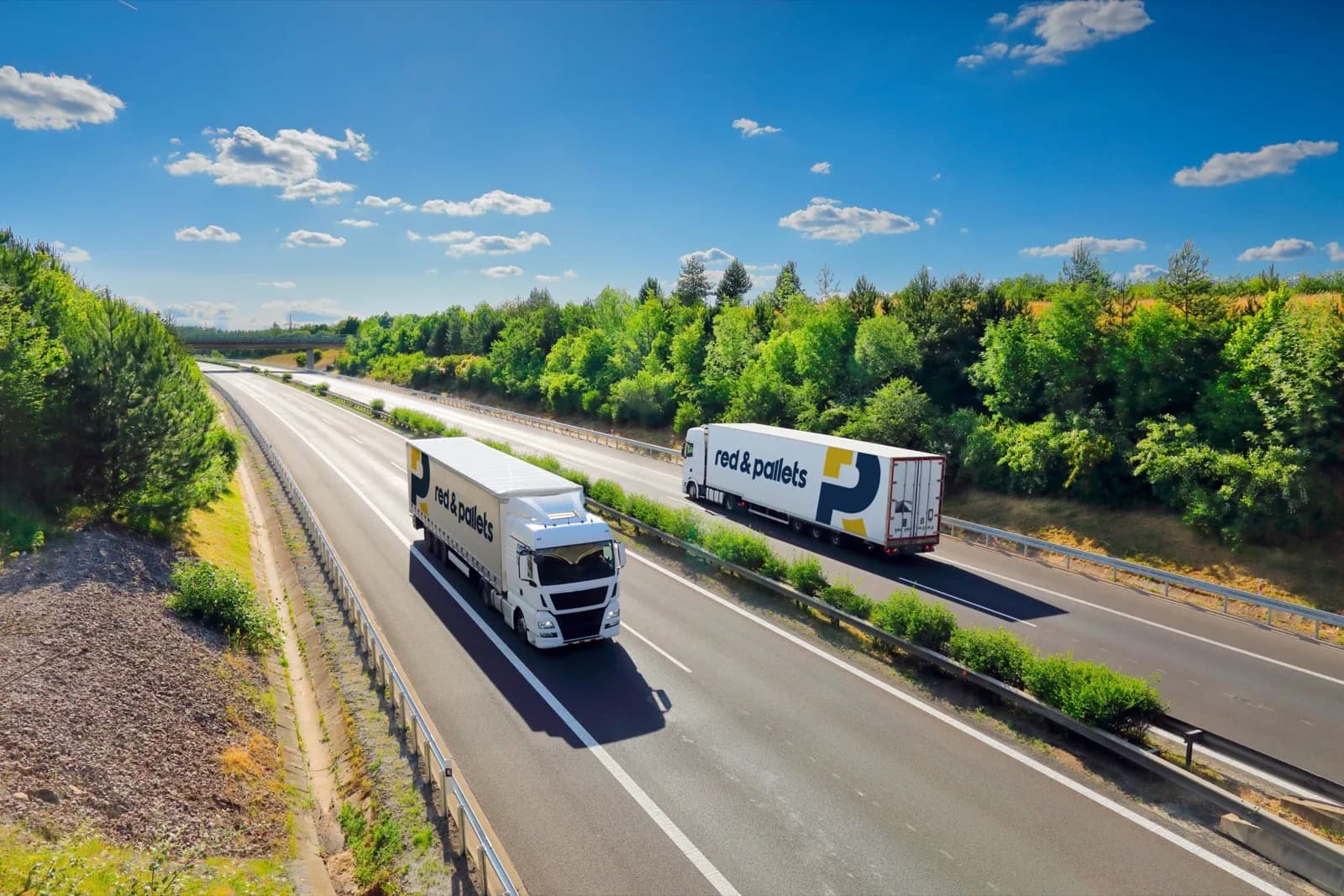 España se convierte en el segundo país de la UE en transporte de mercancía paletizada