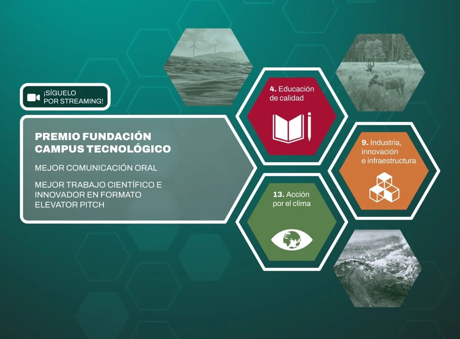 Expertos e investigadores sobre los ODS se darán cita en el Campus Tecnológico de Algeciras los días 14 y 15 de noviembre