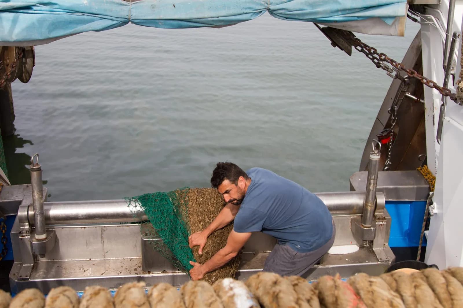 Aprobado el Plan de Gestión para la pesca de rastros y dragas mecanizadas en Andalucía