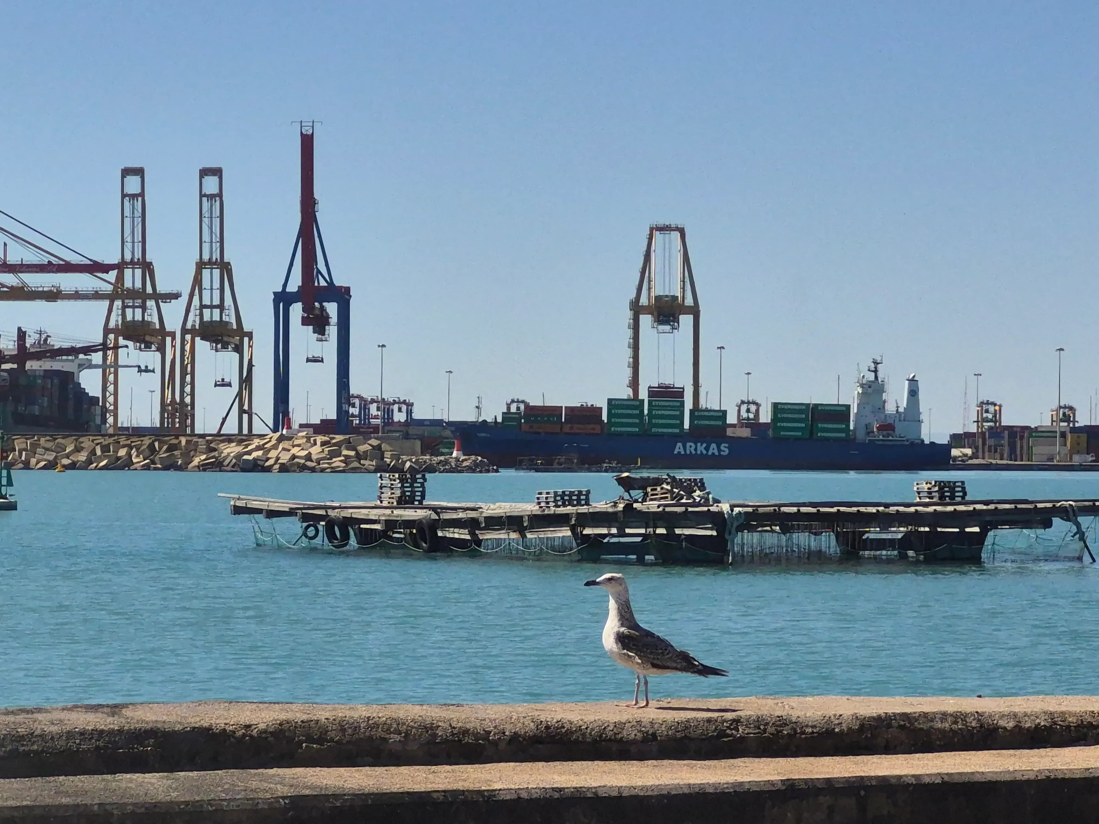 Las empresas de Valenciaport reducen consumos y refuerzan su compromiso ambiental en 2025