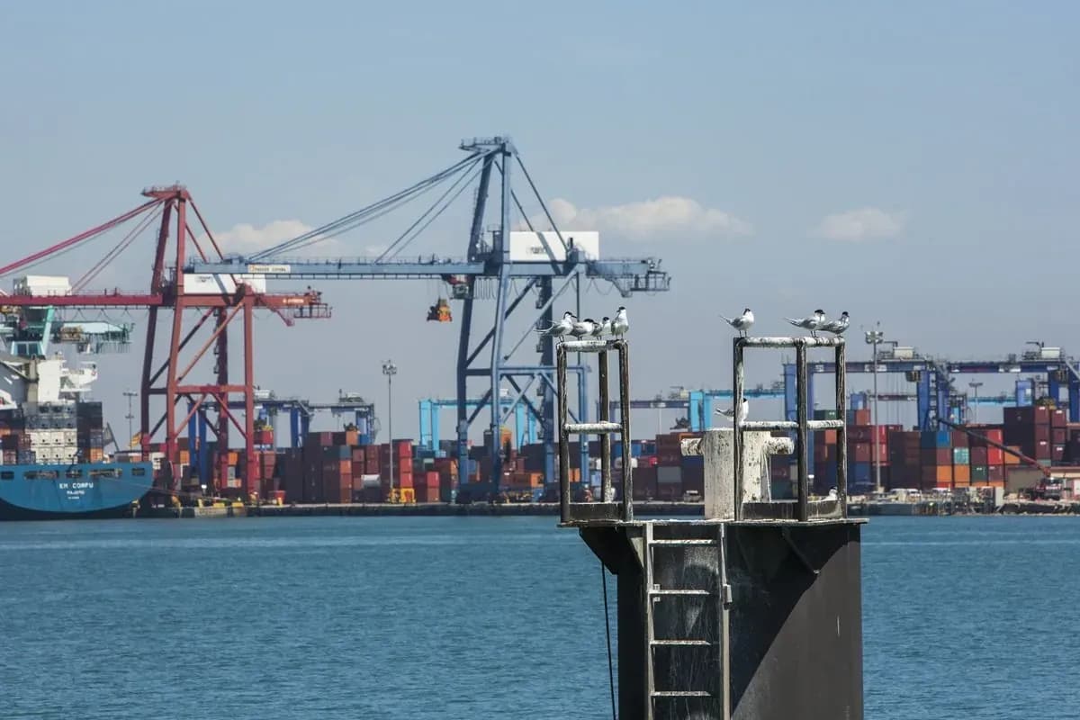 La Autoridad Portuaria de Valencia inicia la estrategia de adaptación de sus puertos al cambio climático