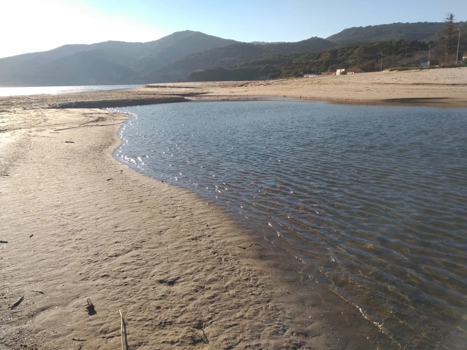 Verdemar presentará alegaciones al Plan de Explotación de playas de Algeciras por posible impacto ambiental