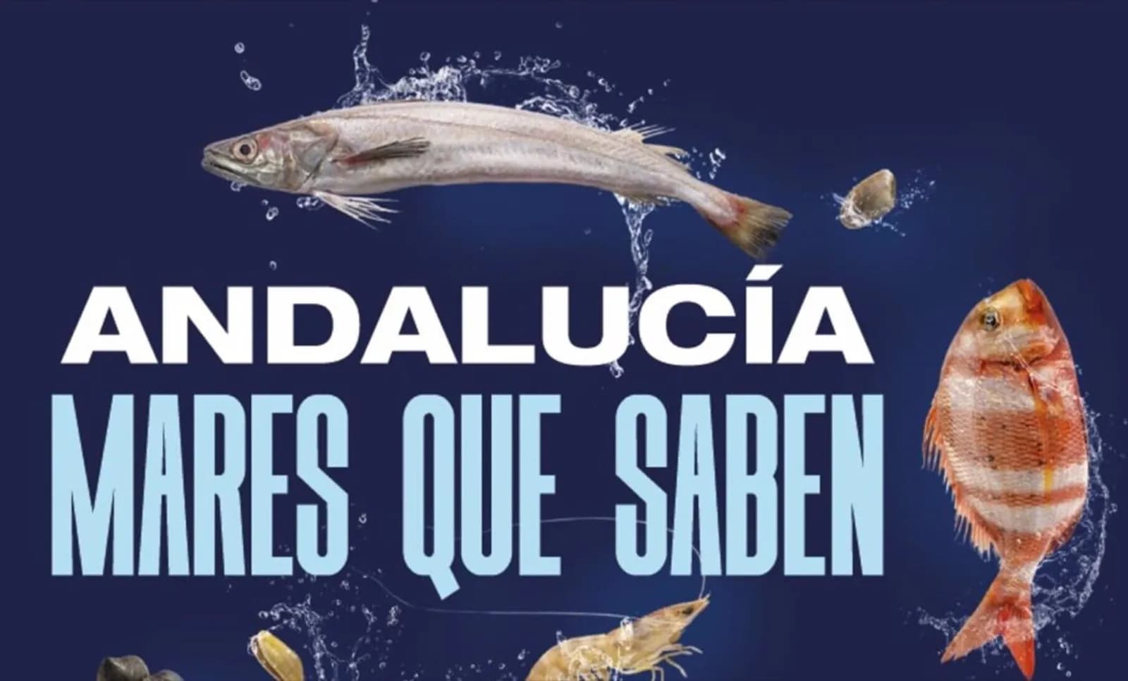 La Cala del Moral acogerá la campaña de sensibilización pesquera ‘Andalucía, Mares que Saben’