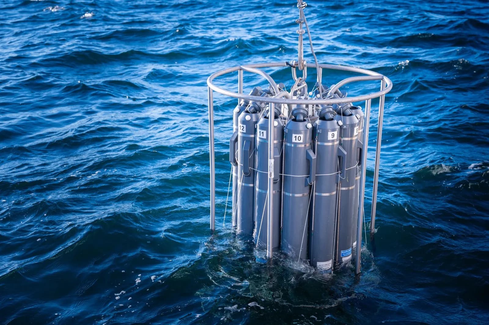 Instituciones de investigación marina de ocho países aúnan esfuerzos para estudiar la acidificación del océano