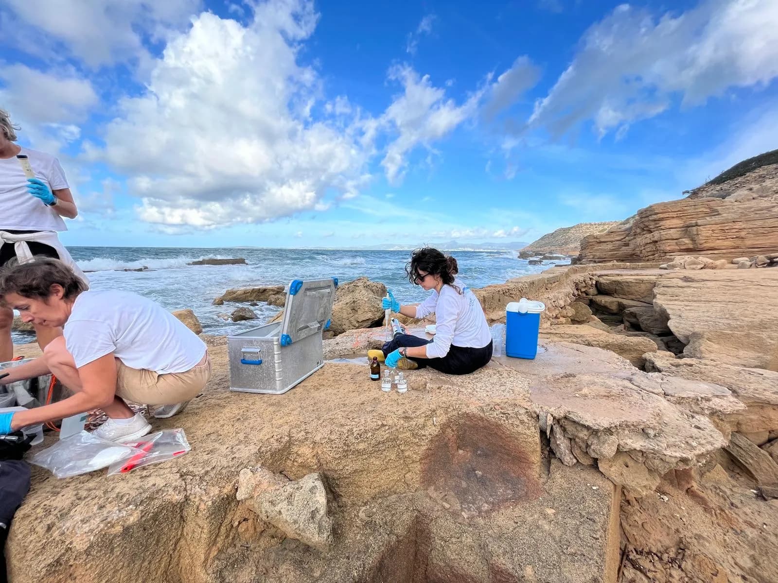 El proyecto MINERVA concluye tras analizar el impacto de los filtros solares en microorganismos marinos