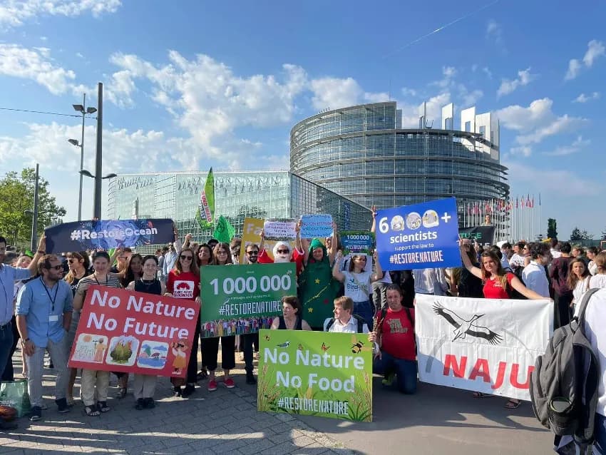 El sector pesquero europeo exige aclaraciones sobre el presunto uso de fondos públicos para influir en políticas del Pacto Verde