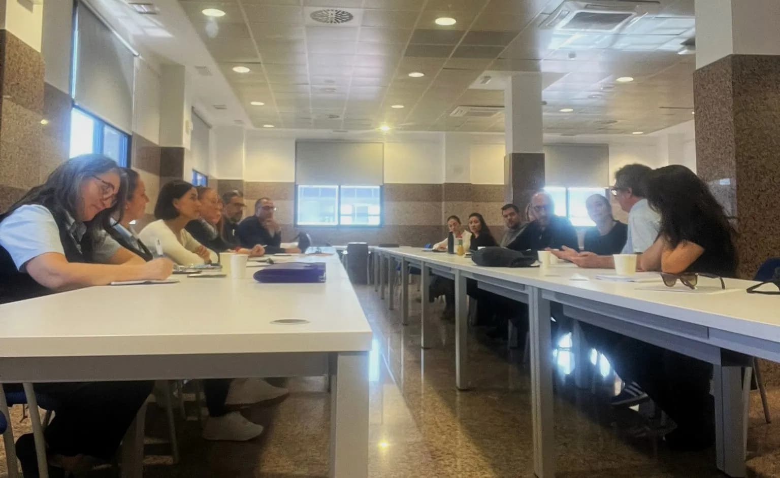 CCOO y los comités de empresa de FRS/DFDS movilizan recursos para garantizar el empleo tras la polémica por la adjudicación de la línea Tarifa-Tánger