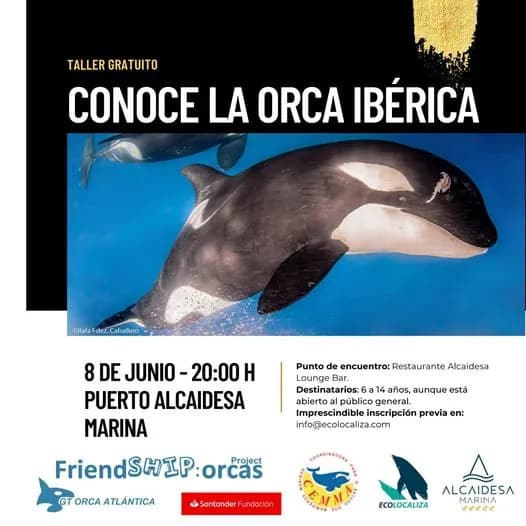 Comienza el taller sobre la población de orcas en el Estrecho de Gibraltar