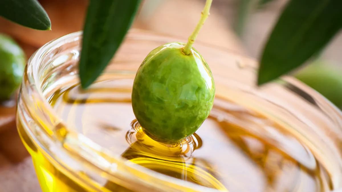 Las exportaciones agroalimentarias de Andalucía alcanzan un récord de 14.368 millones de euros hasta noviembre