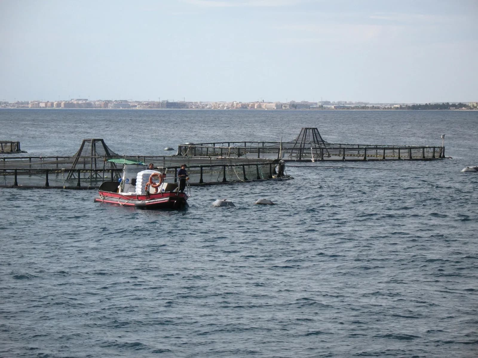 Andalucía incrementa el presupuesto para la acuicultura marina y continental