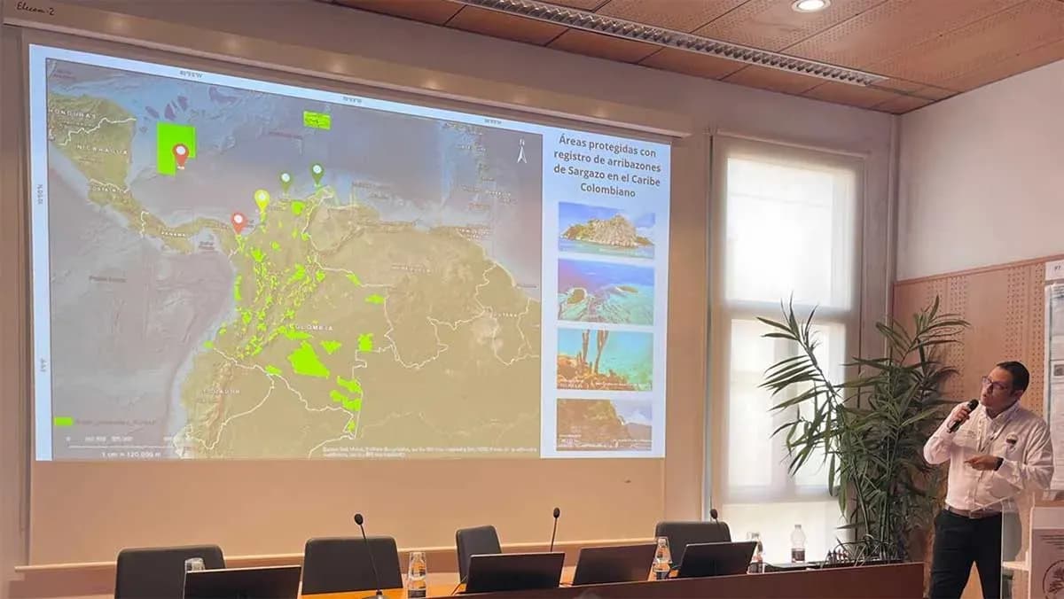 Ceuta acoge el II Taller Internacional sobre el alga invasora Rugulopteryx okamurae con expertos de cinco países
