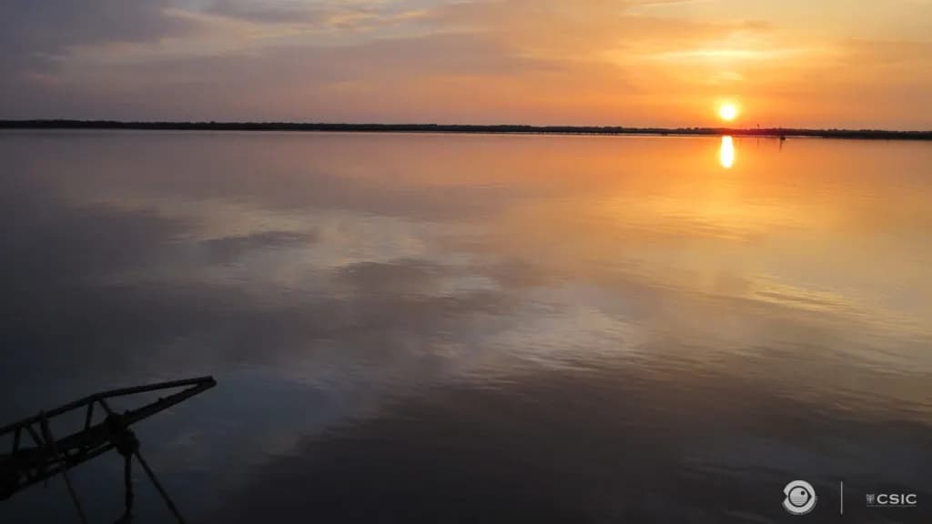 El IEO lidera ‘Snapquivir’, un proyecto para mejorar la gestión del estuario del Guadalquivir