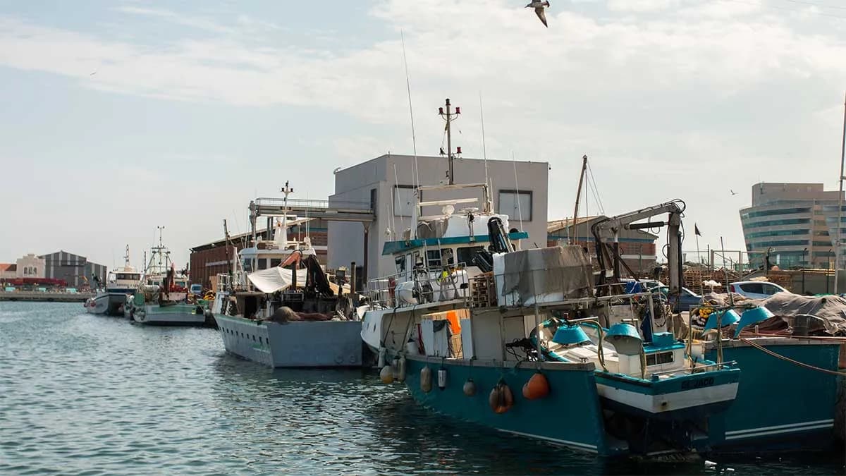 El Puerto de Barcelona se suma a la Semana de la Década del Océano 2024
